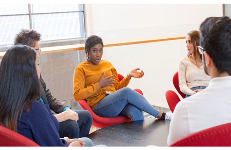 Webinar Series on Learning by Developing Pedagogical Model