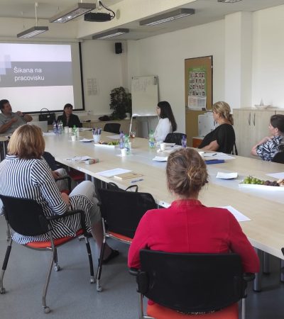 Training – Prevention and elimination of violence at the workplace
