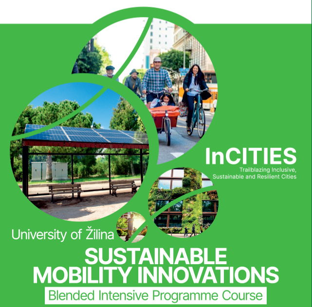 Sustainable Mobility Innovations course